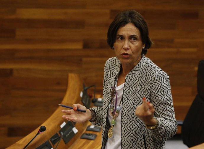 Archivo -  La portavoz del PSOE en la Junta General, Dolores Carcedo.