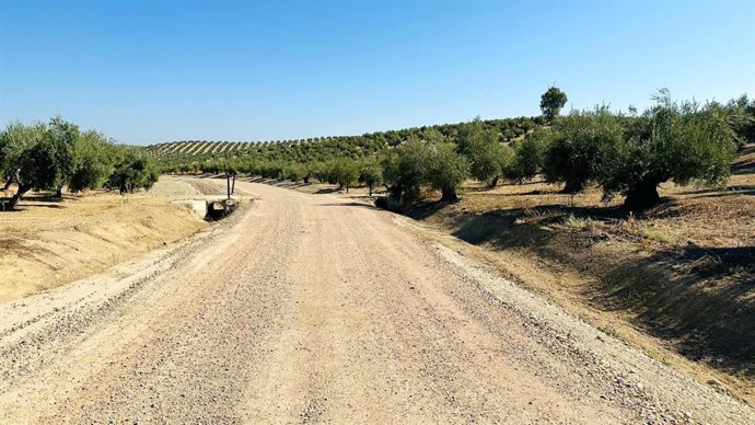 Camino restaurado en Cañete de las Torres.