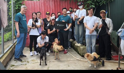 Comunicados Internacional