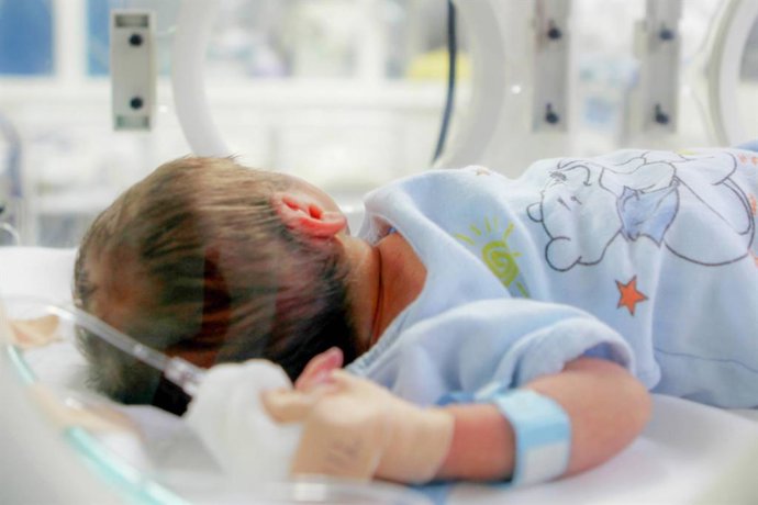 Cuando la vida se adelanta, el viaje invisible de las familias de bebés prematuros