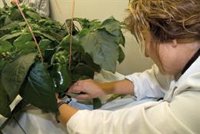 La Junta respalda a los grupos operativos de innovación de Andalucía con ayudas por 18 millones