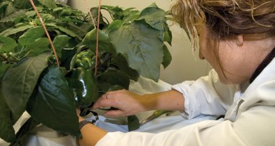 Es Andalucía - Sevilla