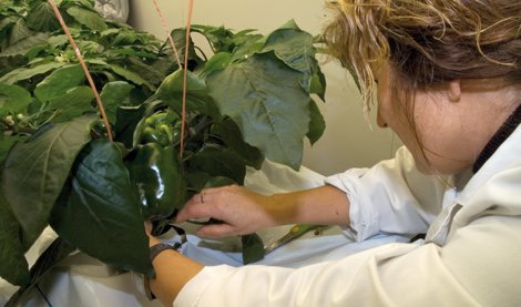 Es Andalucía - Sevilla