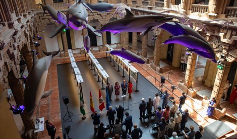 Es Andalucía - Sevilla