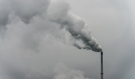 Medio Ambiente