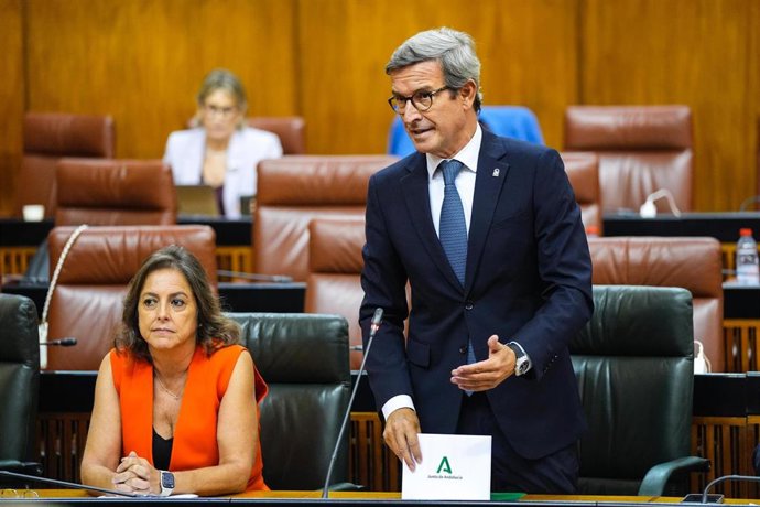 El consejero de Industria, Energía y Minas de la Junta de Andalucía, Jorge Paradela, en el Parlamento de Andalucía.