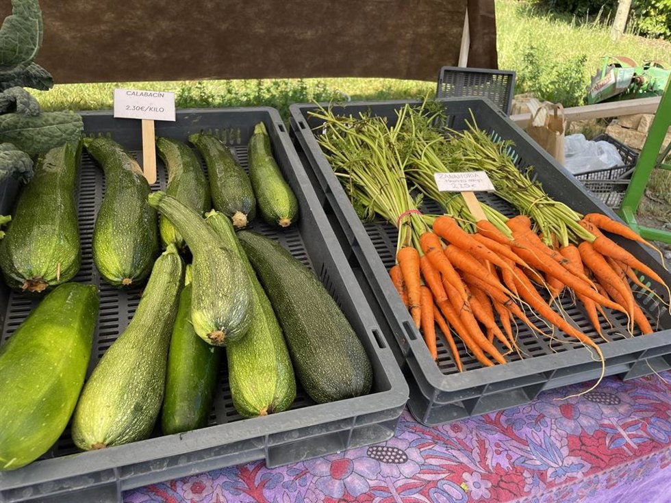 La capital alavesa acogerá diversas actividades relacionadas con los alimentos