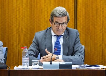 Jorge Paradela, durante su intervención en comisión en el Parlamento andaluz.