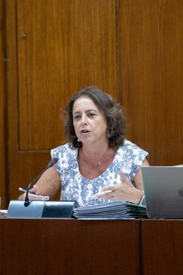 La consejera de Sostenibilidad y Medio Ambiente de la Junta de Andalucía, Catalina García.