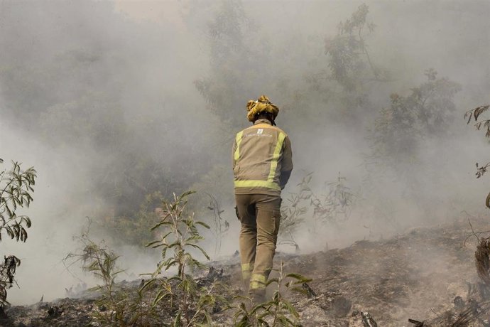 Efectivos trabajan en la extinción de un incendio en Galicia.