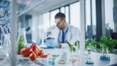 Foto: Del guisante al laboratorio: las nuevas proteínas que revolucionan tu plato, en el Día Mundial de la Alimentación