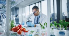 Investigación