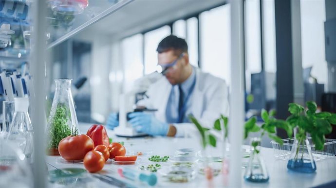 Archivo - Foreground Focus on a Range of a Lab-Grown Cultured Vegetables: Peas, Tomatoes, Sweet Peppers, Plants. Medical Scientist Working on a Background in a Modern Food Science Laboratory.