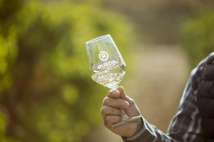 Archivo - La vendimia en la DO Rueda cierra con 123 millones de kilos de uva y una cosecha de calidad "excelente"