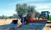 Foto: La Junta abona más de 177,2 millones de euros del anticipo de la PAC 2025 al 86% de los posibles perceptores