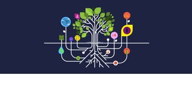 Comunicados Sociedad