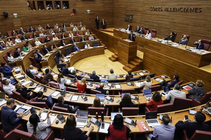 Pleno de Les Corts
