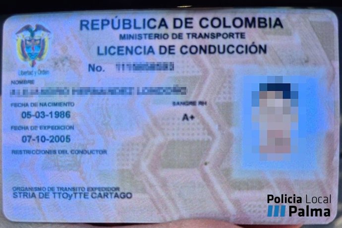 Carnet de conducir falso presentado por el investigado.