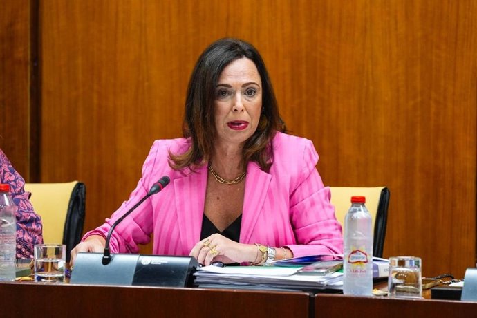 La consejera de Fomento, Articulación del Territorio y Vivienda, Rocío Díaz, en comisión parlamentaria.