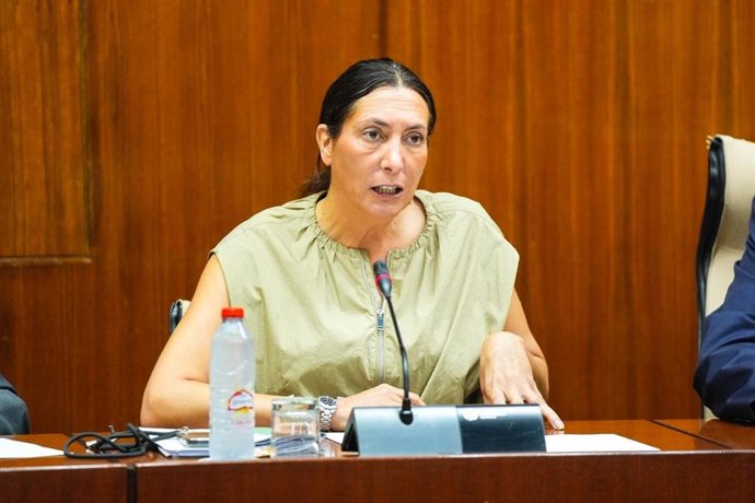 La consejera de Inclusión Social, Loles López, en la comisión parlamentaria del 16 de octubre de 2025.