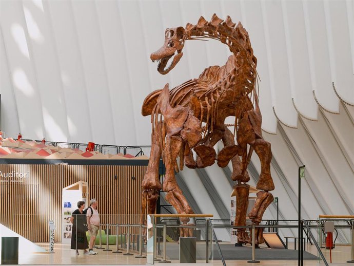 Réplica del 'patagotitan mayorum' en la exposición 'Dinosaurios de la Patagonia' en CaixaForum València