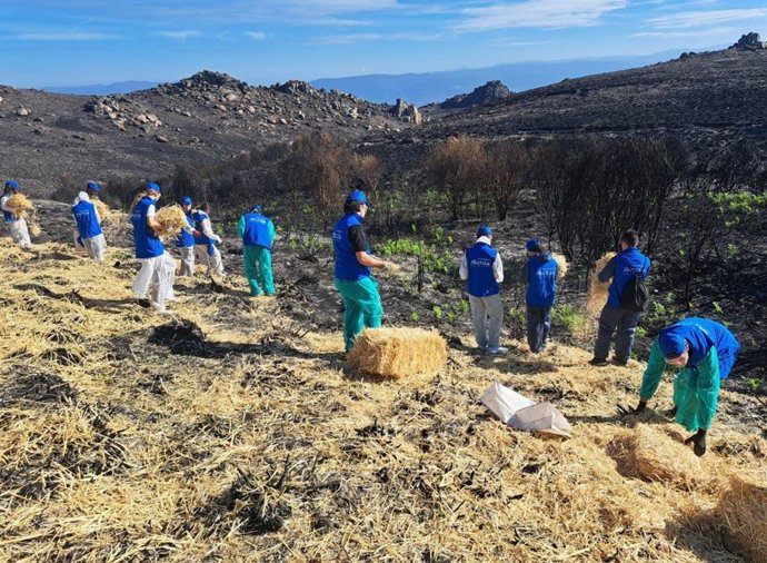 Voluntarios de UIE durante la jornada.