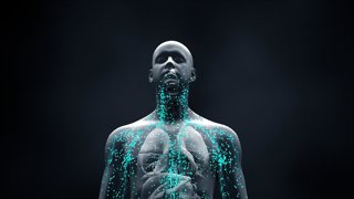 Archivo - El sistema inmune defiende el cuerpo contra infecciones y enfermedades