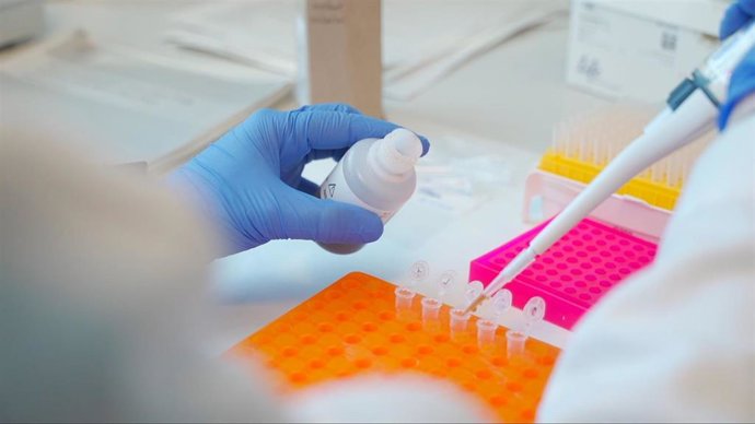 Una imagen durante la investigación