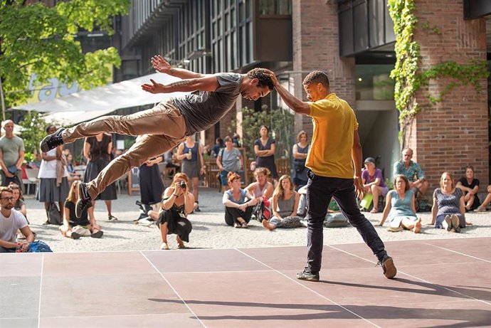 Archivo - Company Chameleon