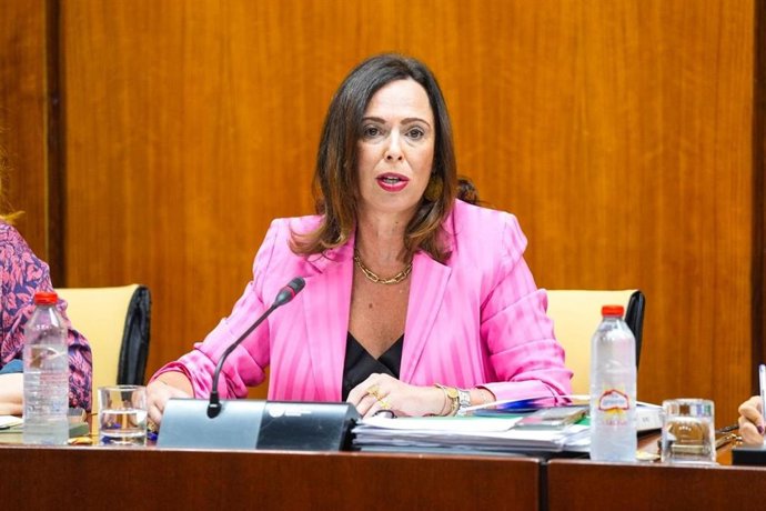 La consejera de Fomento, Articulación del Territorio y Vivienda, Rocío Díaz, en comisión parlamentaria