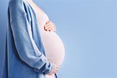 Foto: Analizan el impacto de la salud mental y el consumo de sustancias durante el embarazo en el desarrollo infantil