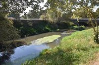 Augas de Galicia "extrema el control" del vertido en el Sar y avisa de que Raxoi "no puede eludir su responsabilidad"