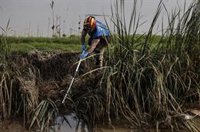 Aemet trasladó a Emergencias a las 16.14 del 29O "precipitaciones torrenciales" en "la zona cerca de l'Albufera"