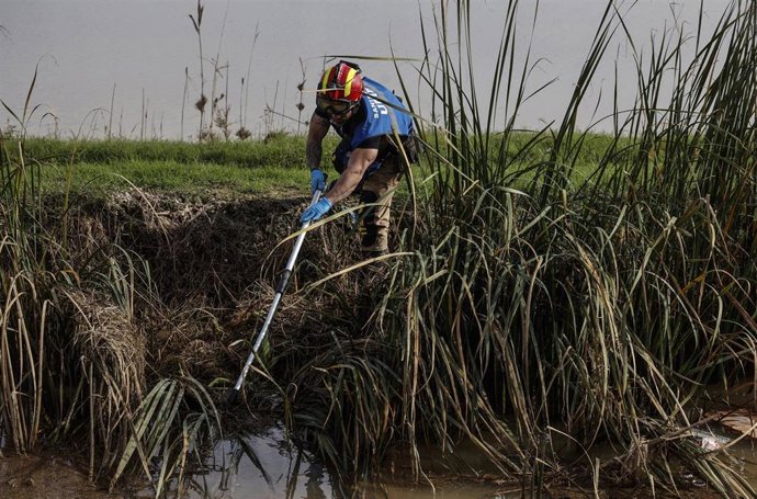Archivo - Un agente de la UME inspeccionan la zona de La Albufera, a12 de noviembre de 2024, en Valencia. ARCHIVO. 