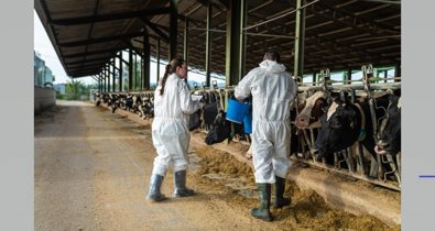 EpAgro - Agricultura