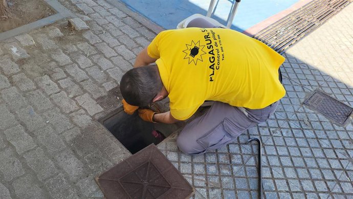 Actuaciones de desratización y control de plagas.