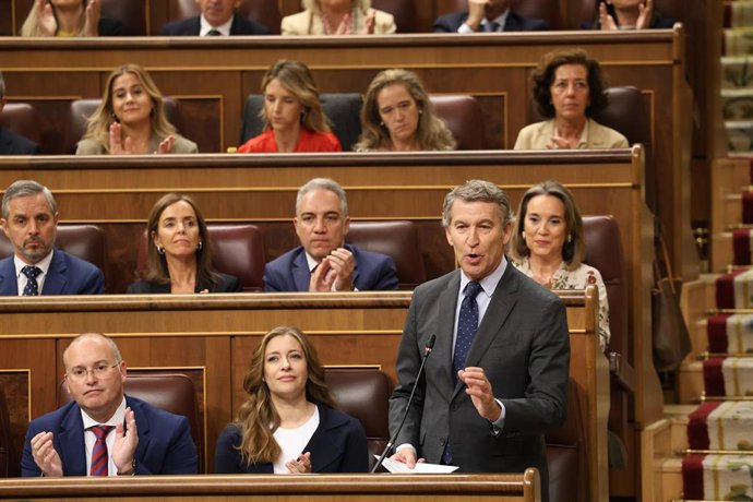 El presidente del PP, Alberto Núñez Feijóo, durante una sesión de control al Gobierno.