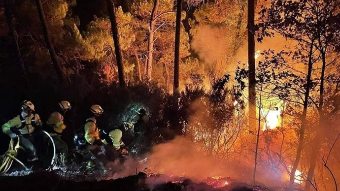 Bomberos forestales luchando contra el fuego.