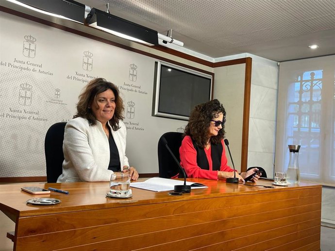 La diputada del PP de Asturias, Beatriz Polledo, y la presidenta de la Asociación Maeve, Marina González, durante la rueda de prensa en la Junta General.