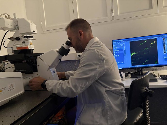 Un investigador con un microscopio