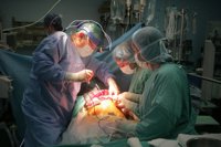 Cámara de Cuentas aprecia "déficit" de coordinadores de trasplantes y falta de máquinas que "impide aprovechar órganos"