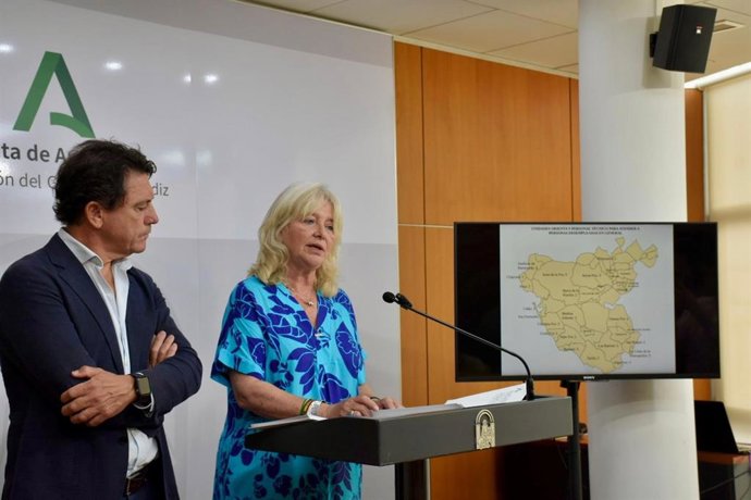 Archivo - La delegada de la Junta en Cádiz, Mercedes Colombo, y el delegado territorial de Empleo, Empresa y Trabajo Autónomo, Daniel Sánchez Román, en rueda de prensa.