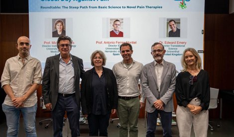 Investigación