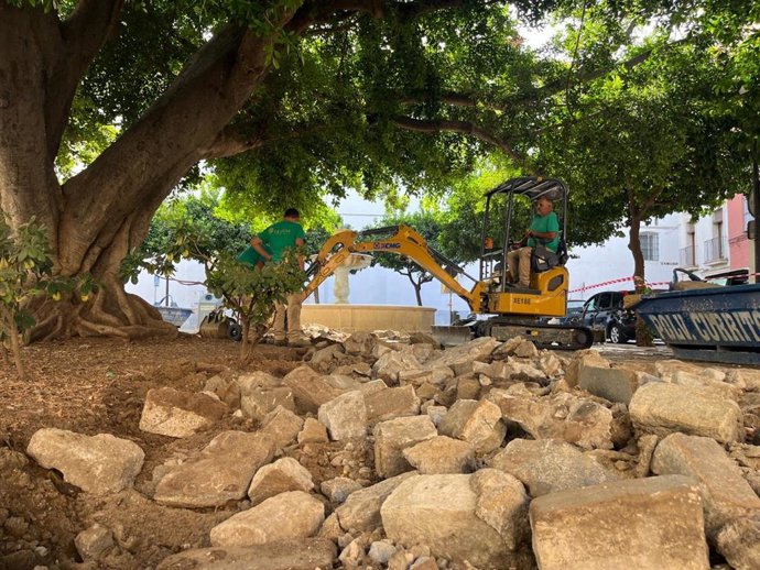 El Ayuntamiento de Sevilla refuerza la protección del ficus de la Plaza de San Leandro