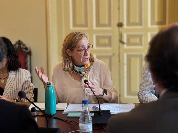 La portavoz de VTLP, Rocío Anguita