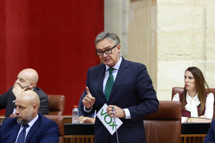 El portavoz del Grupo Vox en Andalucía, Manuel Gavira, en una imagen de archivo del Pleno del Parlamento en su pregunta al presidente de la Junta durante la sesión de control. 
