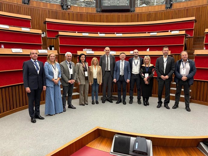 González Revuelta en la reunión del Grupo de Trabajo de la CALRE