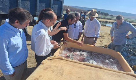 Es Andalucía - Sevilla