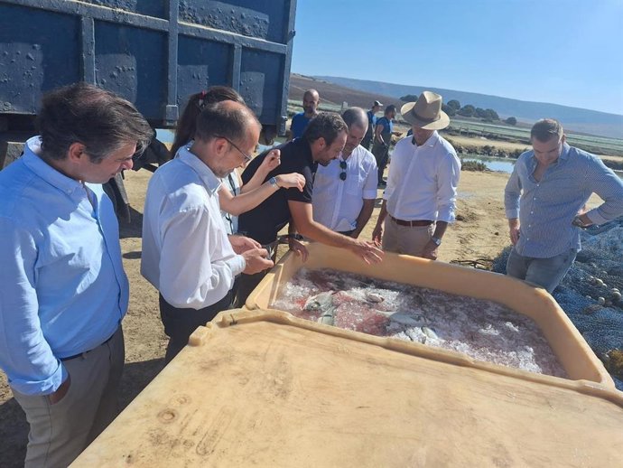 Delegación andaluza visitando la emprersa Cupibar.