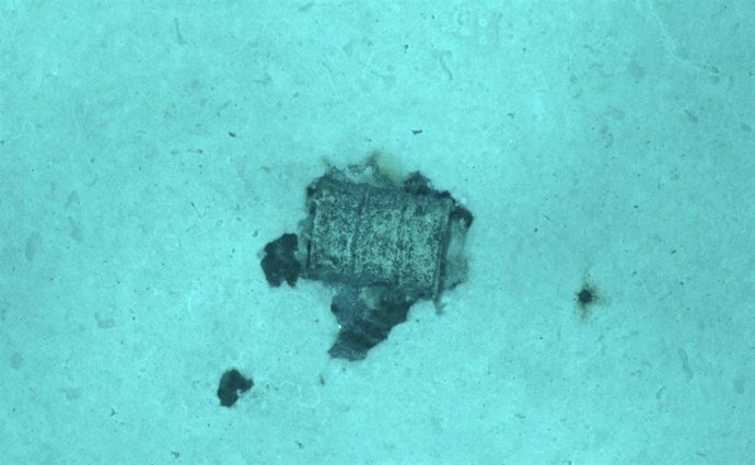 Archivo - Un bidón con residuos radiactivos en la Fosa Atlántica